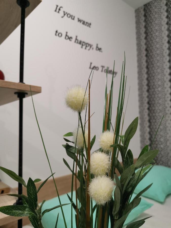 Mateja Apartment 诺威萨 外观 照片