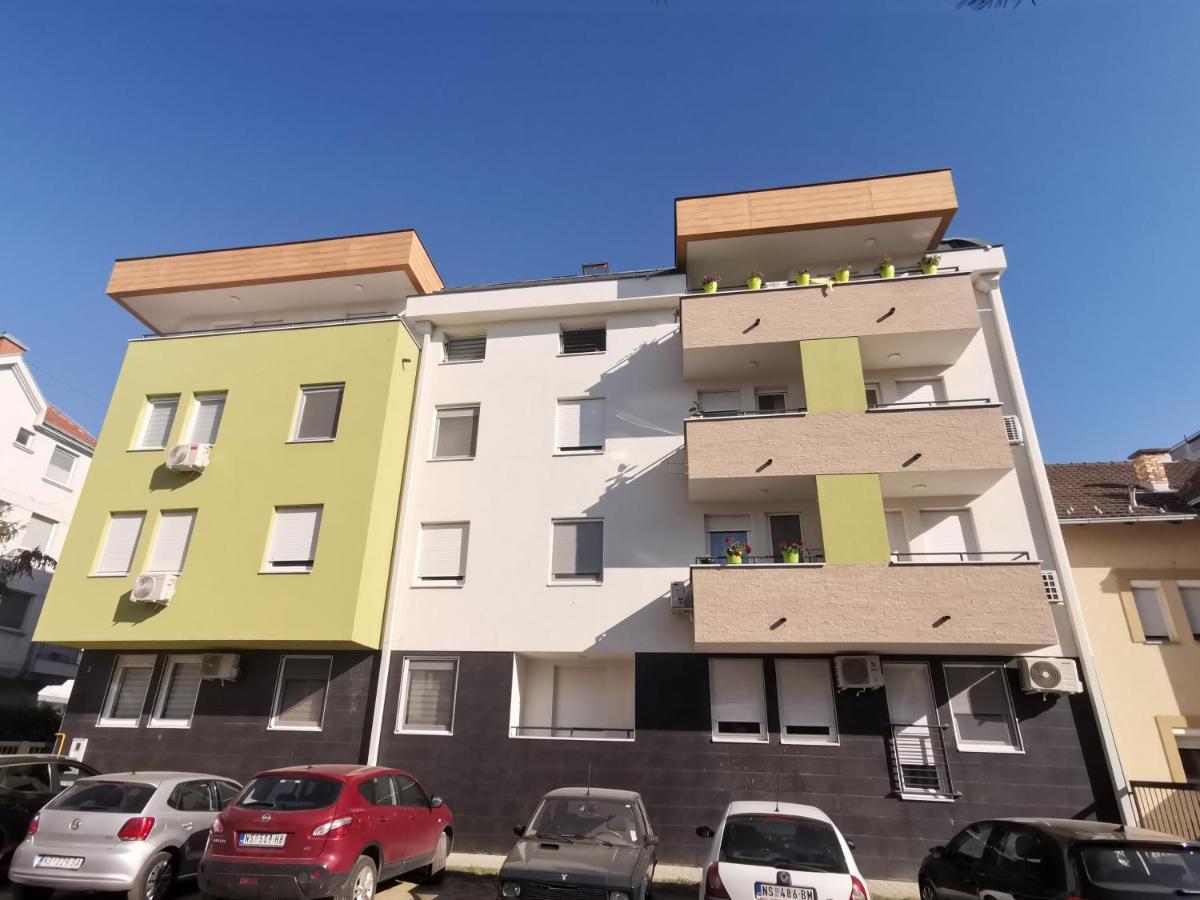 Mateja Apartment 诺威萨 外观 照片